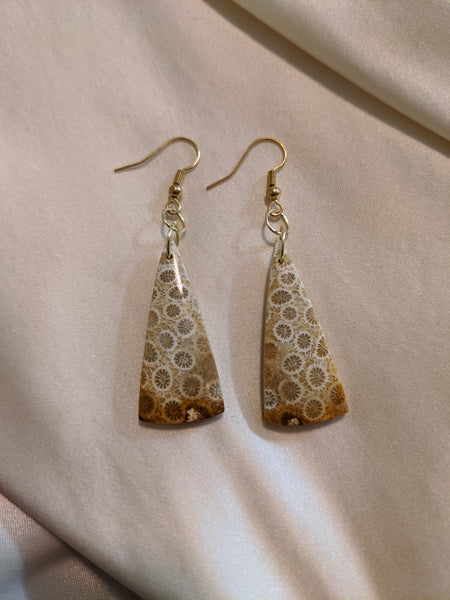 Fossilized coral earrings